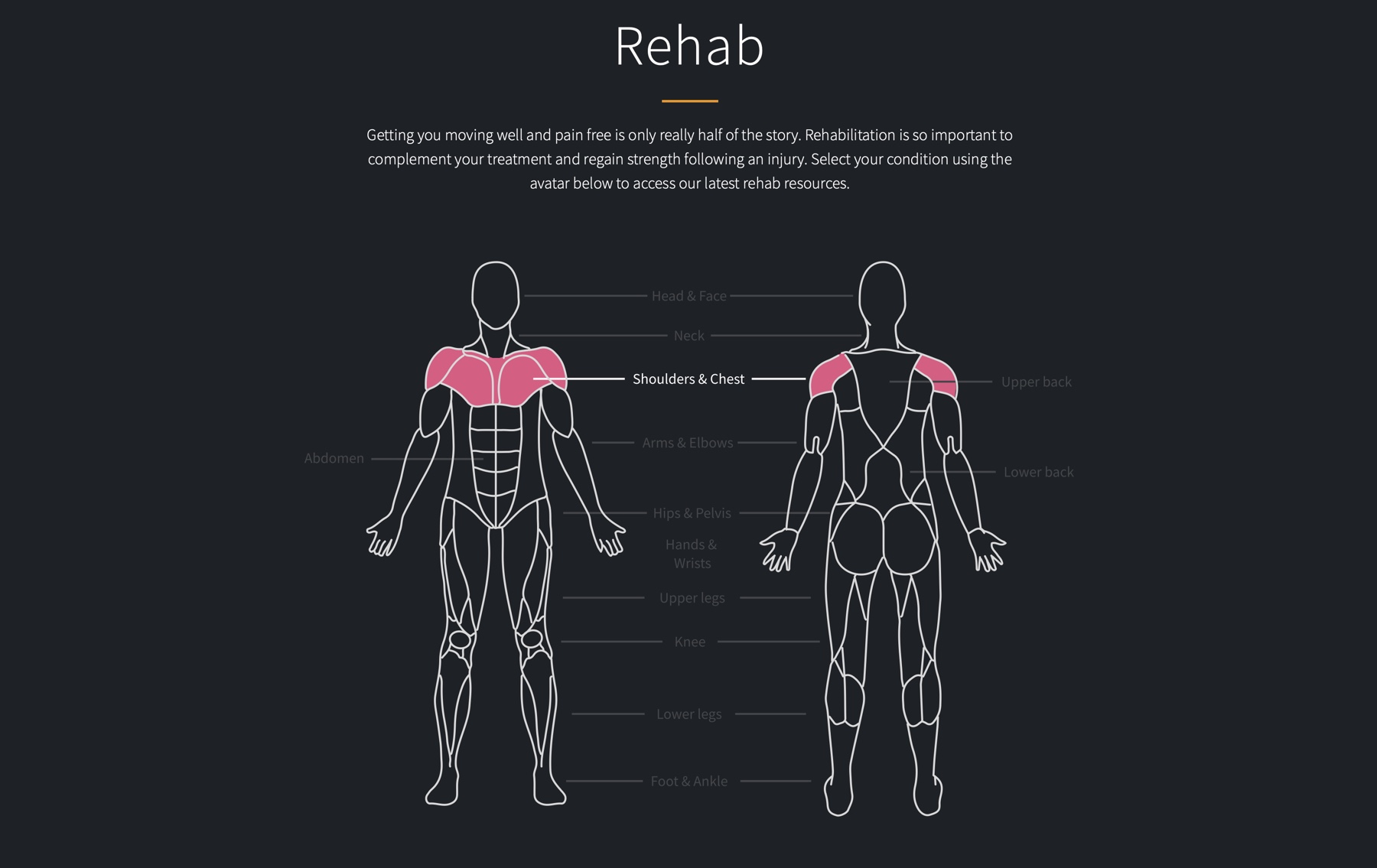 Interactive body chart with hover highlights
