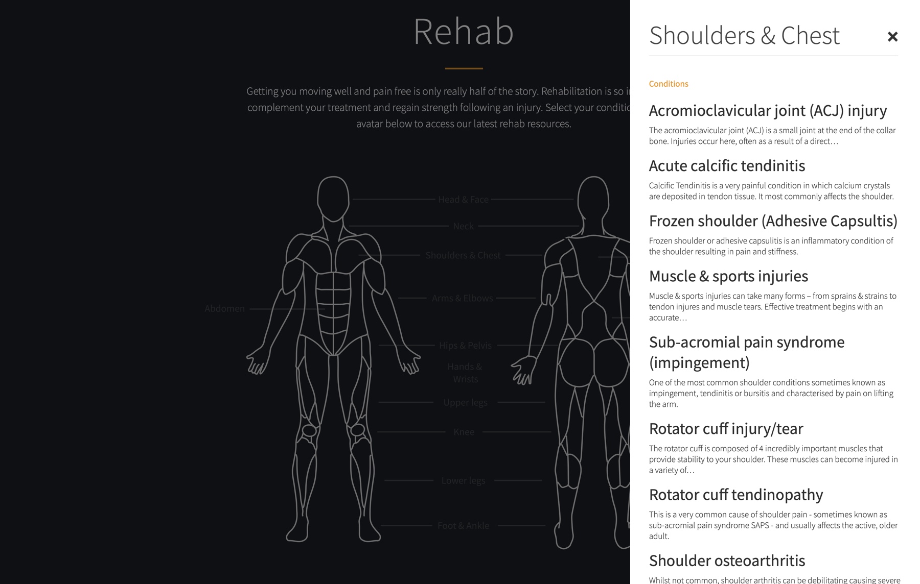 Dynamic body chart connected to various content types