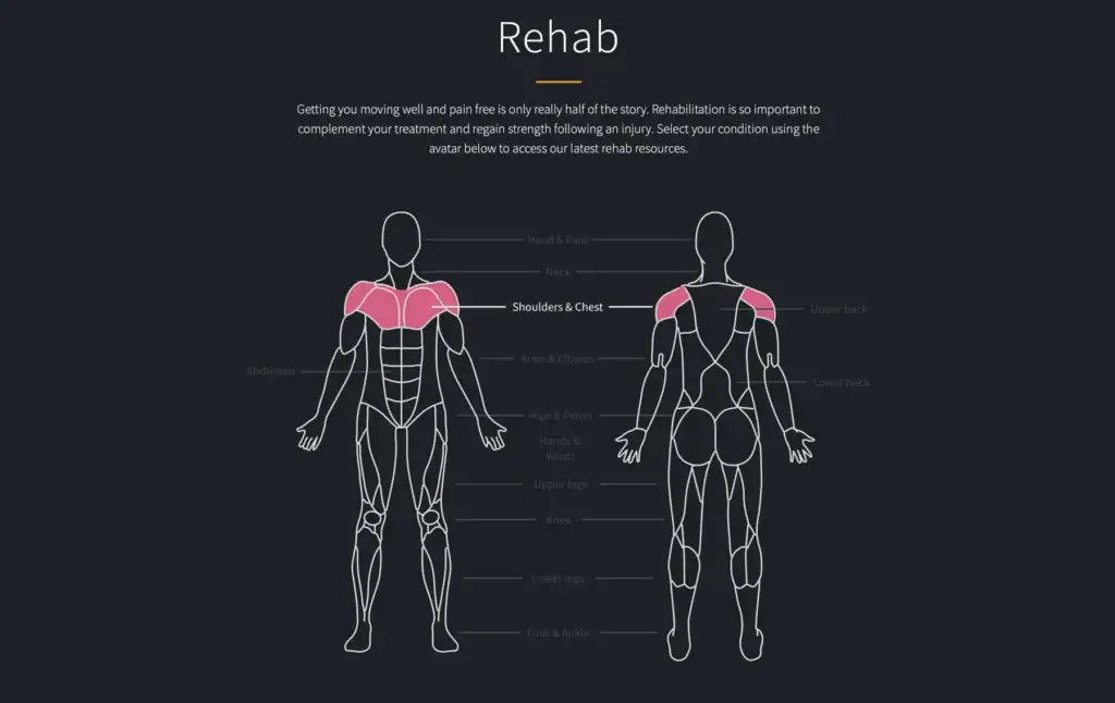 Interactive physiotherapy body chart