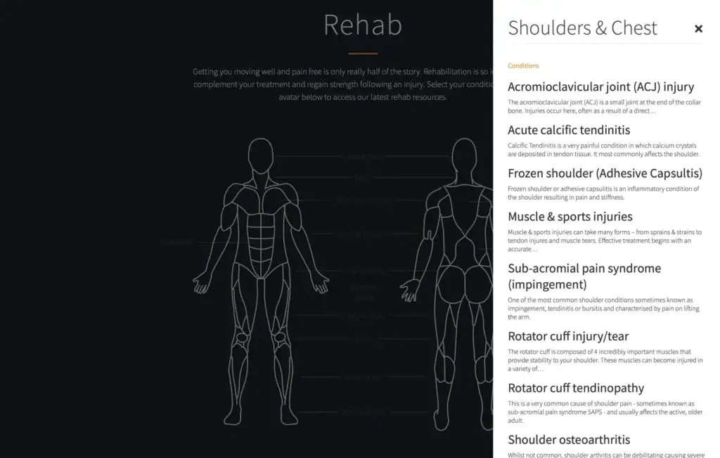 Dynamic treatment body chart on The Physios website